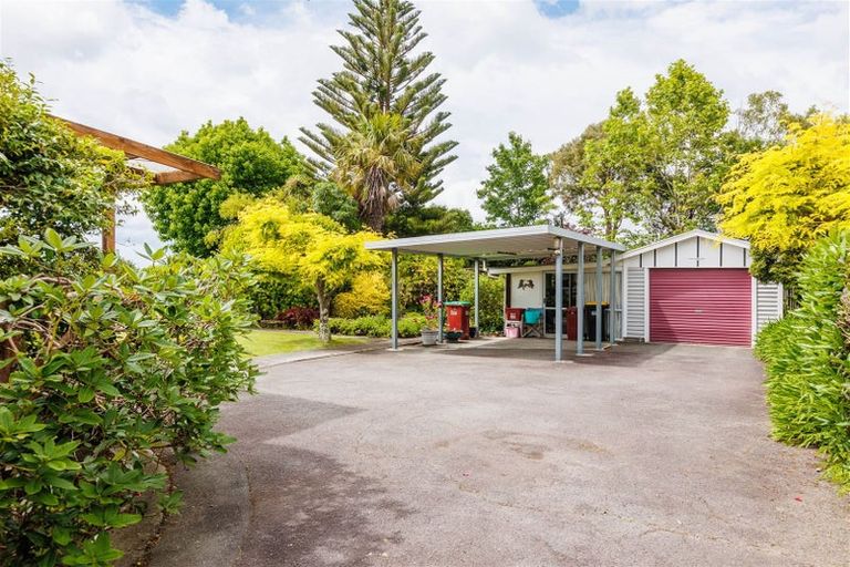 Photo of property in 13 Miro Street, Lansdowne, Masterton, 5810
