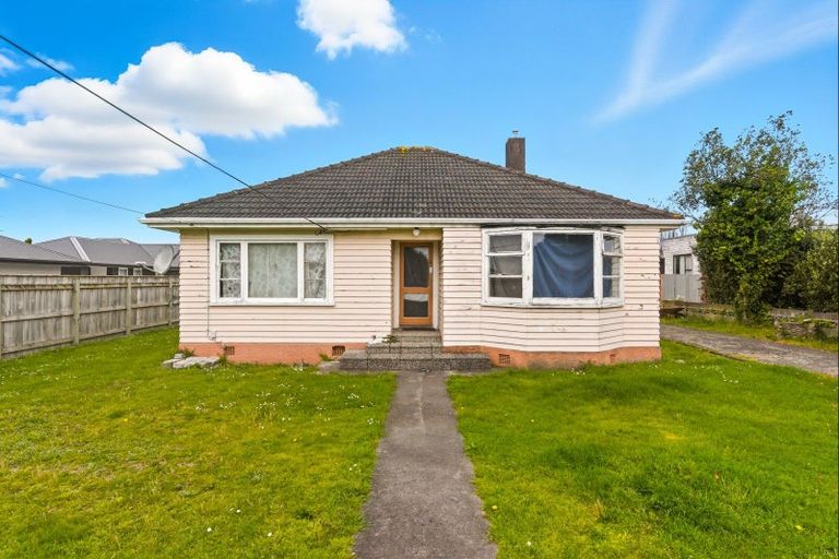 Photo of property in 21 Mckenzie Street, Levin, 5510