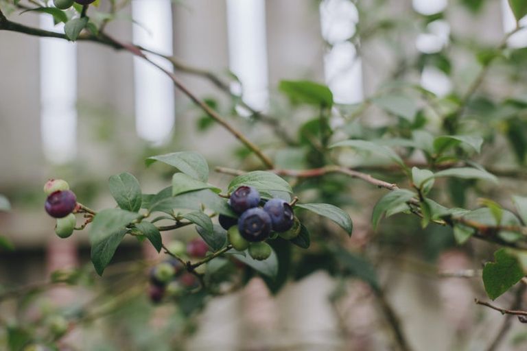 Photo of property in 17 Pekanga Drive, Fox Glacier, 7886