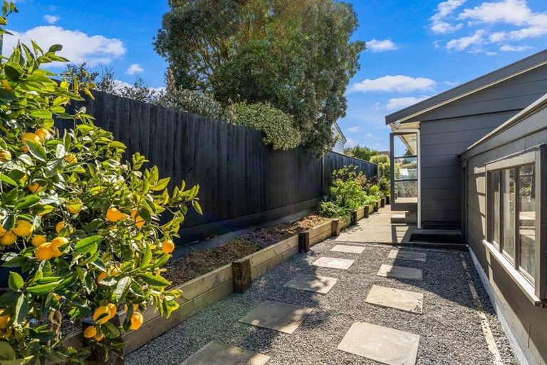 Photo of property in 19 Whitby Place, Kaikoura, 7300