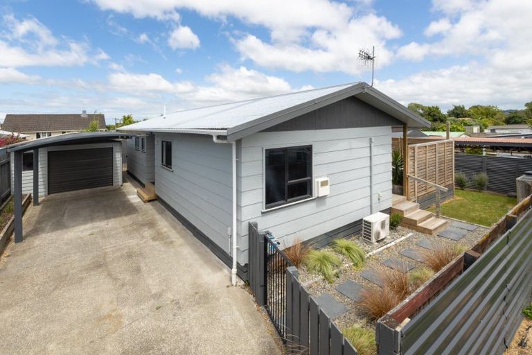 Photo of property in 20b Tingey Avenue, Feilding, 4702