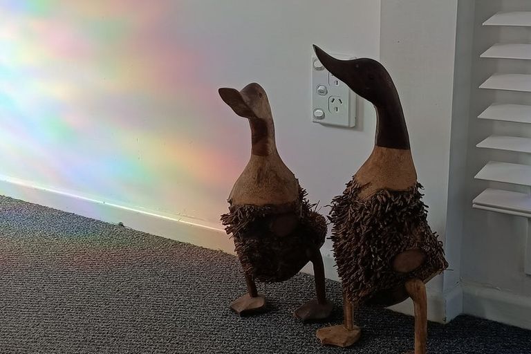 Photo of property in 44a Waverley Avenue, Glenfield, Auckland, 0629