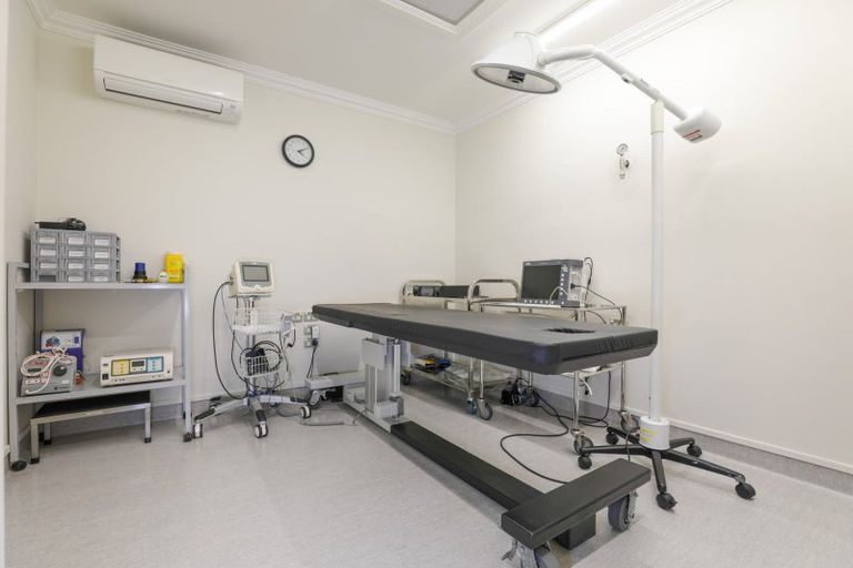 Photo of property in 186 Fraser Street, Tauranga South, Tauranga, 3112