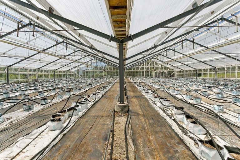 Photo of property in 146 Top Road, Dairy Flat, Albany, 0792