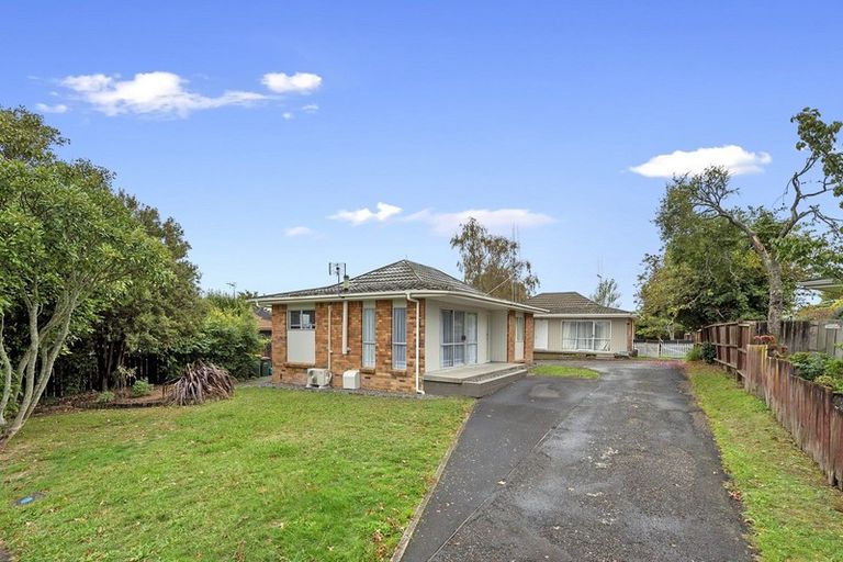 Photo of property in 50a Alison Street, Hamilton Lake, Hamilton, 3204
