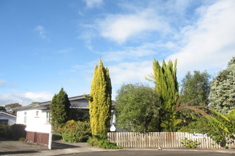 Photo of property in 9 Andrew Street, Marewa, Napier, 4110