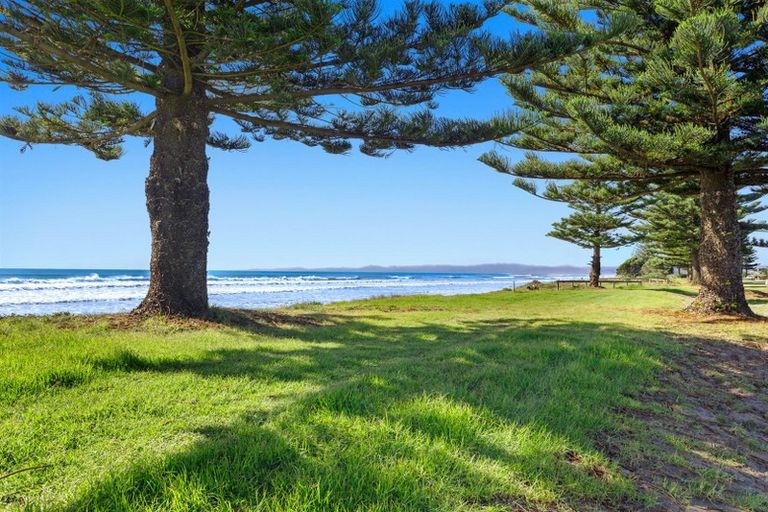 Photo of property in 220 Ocean Road, Ohope, 3121