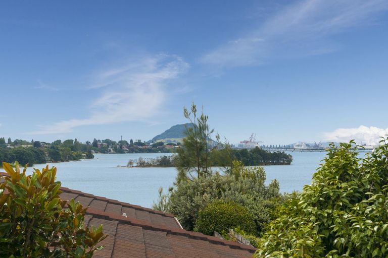 Photo of property in 68 Tutauanui Crescent, Maungatapu, Tauranga, 3112