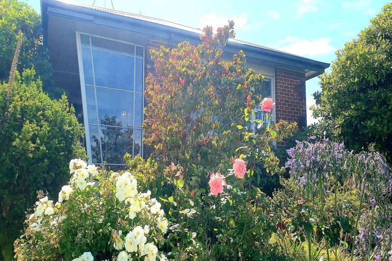Photo of property in 109 North Street, Seaview, Timaru, 7910