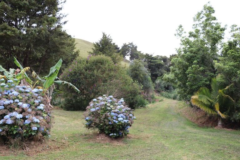 Photo of property in 356 Hailes Road, Whananaki, Hikurangi, 0181