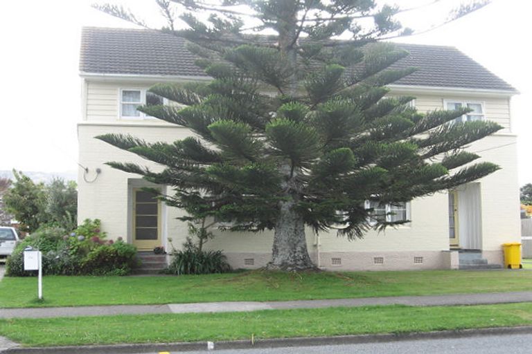 Photo of property in 76 Oxford Terrace, Epuni, Lower Hutt, 5011