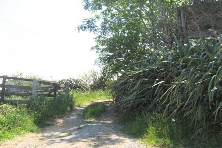 Photo of property in 20 Laurel Drive, Whakamarama, Tauranga, 3179