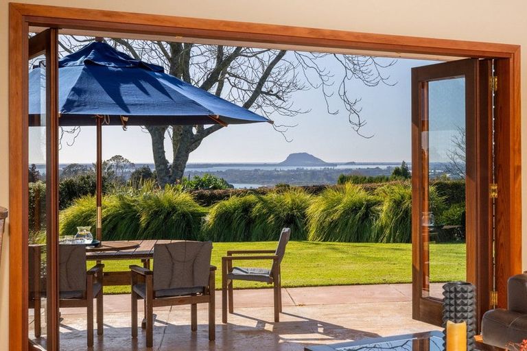 Photo of property in 196 Whakamarama Road, Whakamarama, Tauranga, 3179