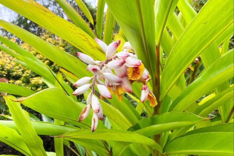 Photo of property in 16 Mccallum Drive, Sandspit, Warkworth, 0982