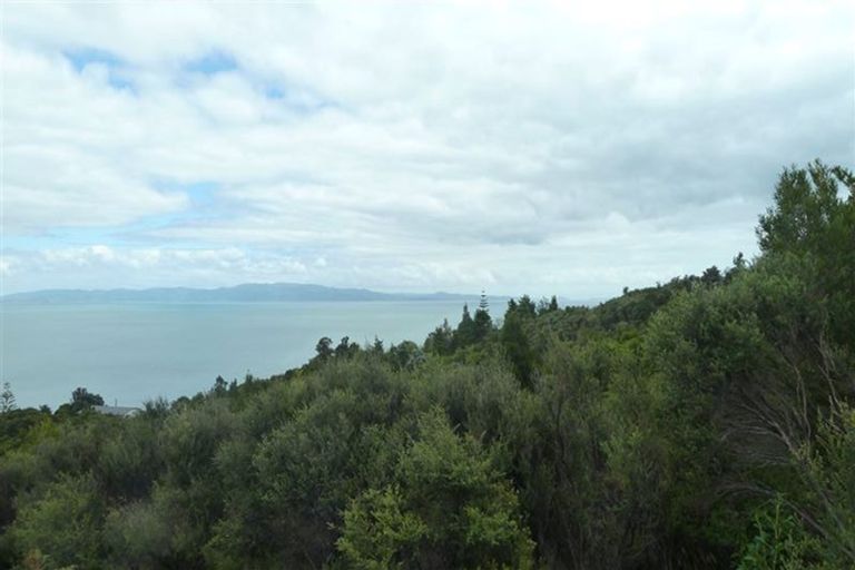 Photo of property in 45 Otuturu Crescent, Ruamahunga, Thames, 3575