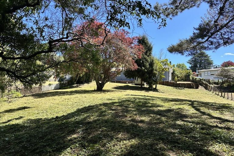 Photo of property in 29 Ailsa Street, Te Kuiti, 3910