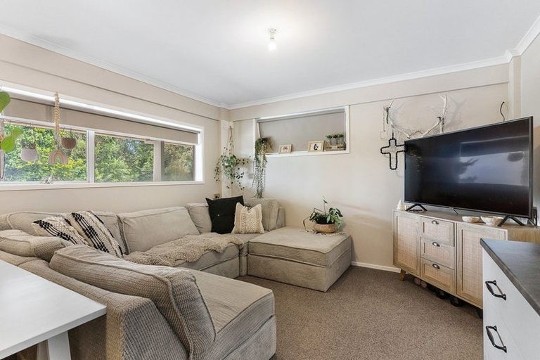 Photo of property in 43 Seymour Place, Bellevue, Tauranga, 3110