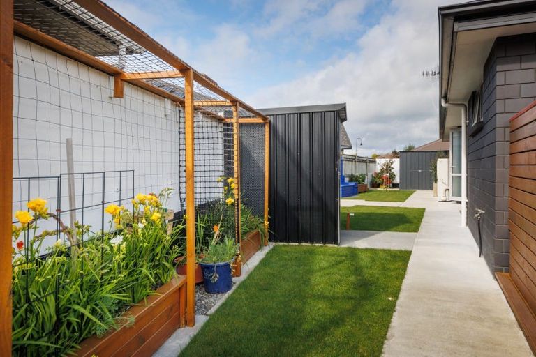 Photo of property in 3 Lancewood Avenue, Feilding, 4702