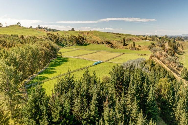 Photo of property in 263b Horahora Road, Piarere, Tirau, 3484