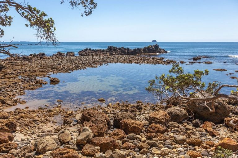 Photo of property in 595 Boat Harbour Road, Whenuakite, Whitianga, 3591