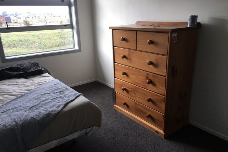 Photo of property in 29 Portland Lane, Chartwell, Hamilton, 3210