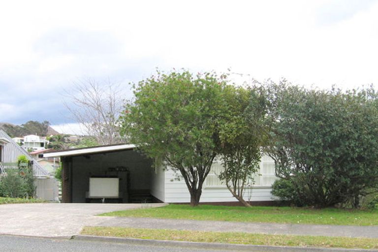 Photo of property in 102 The Grove, Onemana, Whangamata, 3691