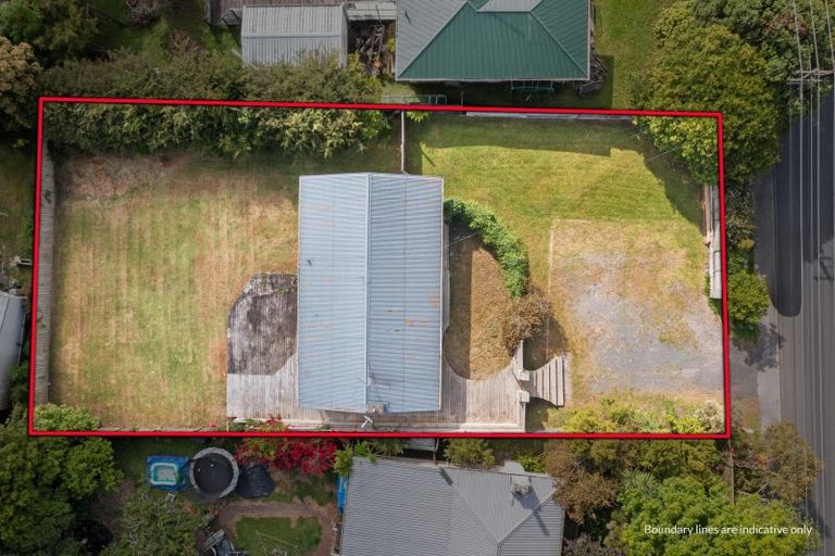 Photo of property in 44 Pine Avenue, Henderson, Auckland, 0612