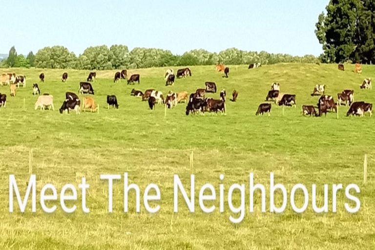 Photo of property in 9 Waimea Place, Tokoroa, 3420