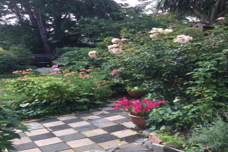 Photo of property in 77a Alexander Road, Raumati Beach, Paraparaumu, 5032