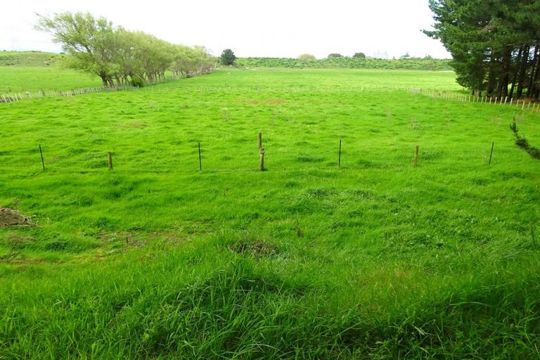 Photo of property in 170 Foxton Shannon Road, Foxton, 4893