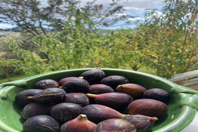 Photo of property in 291 Kaiwaka-mangawhai Road, Kaiwaka, Wellsford, 0975