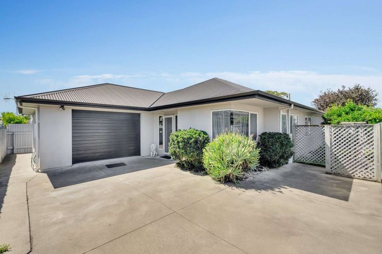 Photo of property in 1020a Totara Street, Mahora, Hastings, 4120