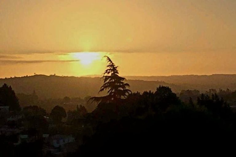 Photo of property in 10a Highmore Place, Brookfield, Tauranga, 3110