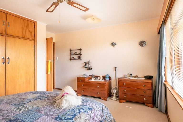 Photo of property in 31 Lindsey Crescent, Springvale, Whanganui, 4501