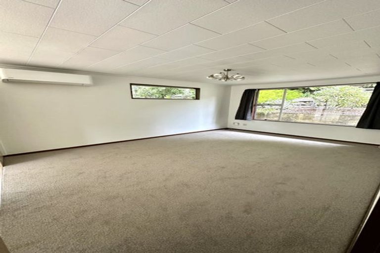 Photo of property in 35b Calder Avenue, North East Valley, Dunedin, 9010