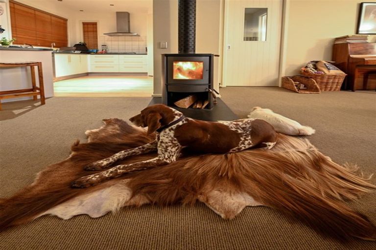 Photo of property in 8 Haydens Road, Marsden, Greymouth, 7805