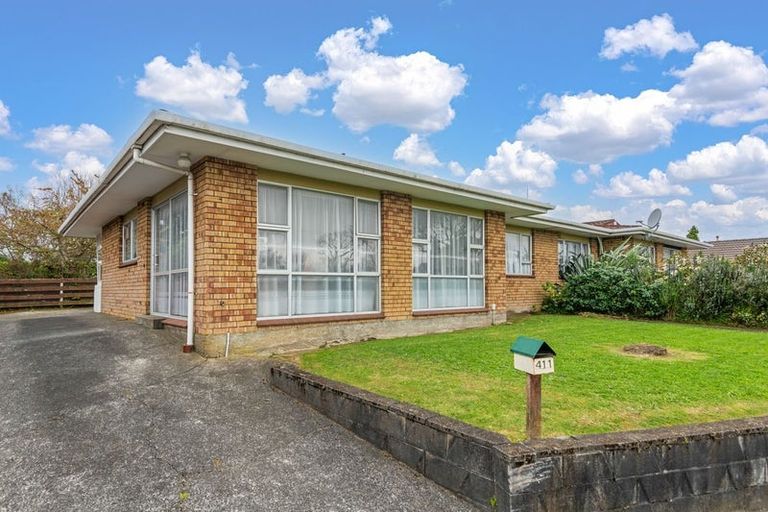 Photo of property in 411 Ruahine Street, Terrace End, Palmerston North, 4410