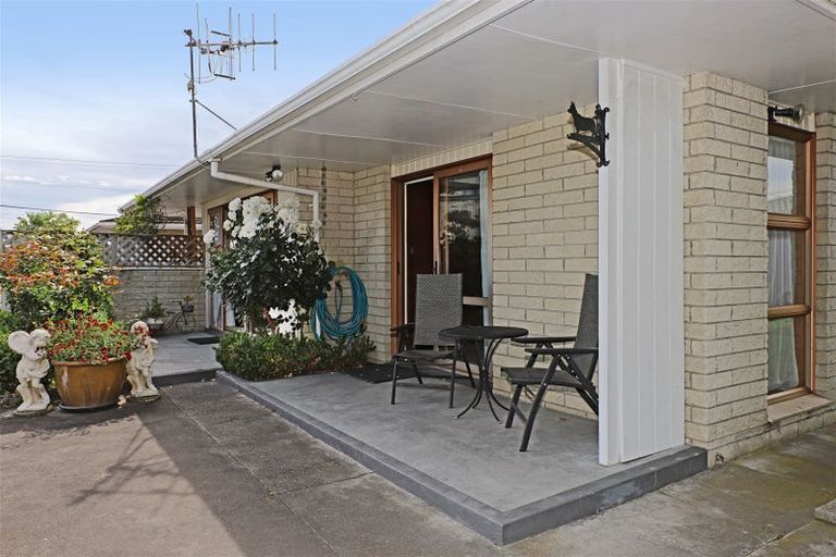 Photo of property in 702a Williams Street, Mahora, Hastings, 4120