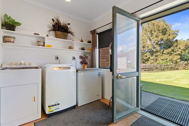 Photo of property in 189 Thompsons Track, Aongatete, Katikati, 3178