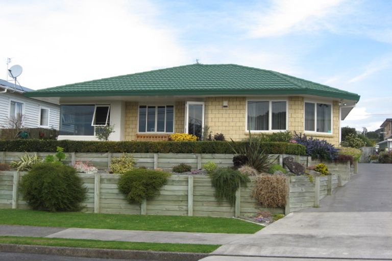 Photo of property in 115 Hine Street, New Plymouth, 4310