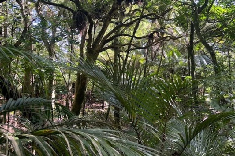 Photo of property in 480 Ponga Road, Opaheke, Papakura, 2584