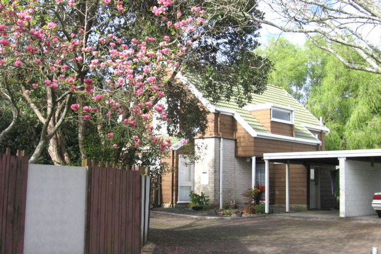 Photo of property in 109h Maungatapu Road, Maungatapu, Tauranga, 3112