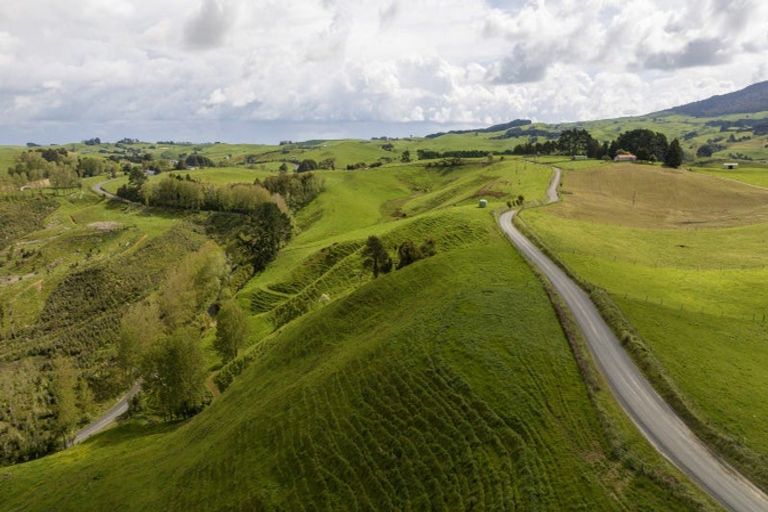 Photo of property in 697 Maungatawhiri Road, Raglan, 3295
