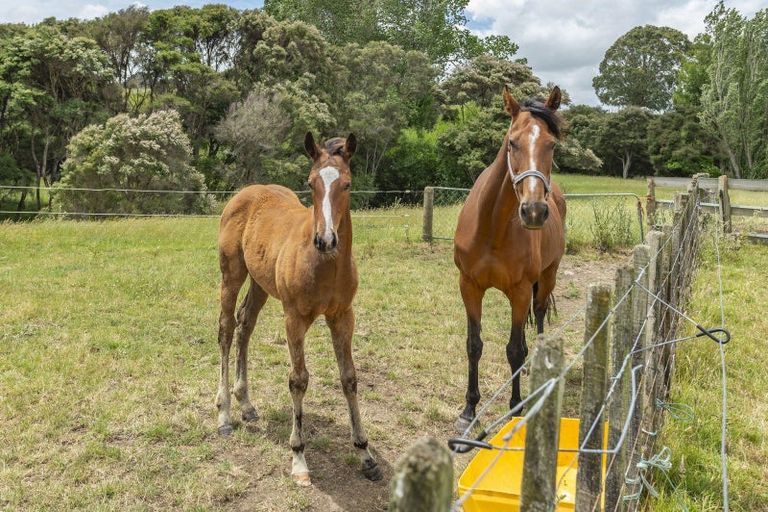 Photo of property in 1358 Makirikiri Road, Turakina, Marton, 4789