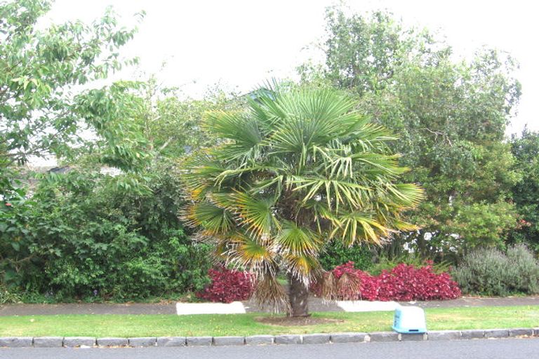 Photo of property in 1 Douglas Avenue, Mount Albert, Auckland, 1025