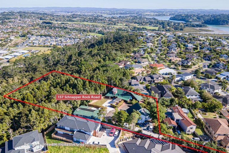 Photo of property in 157 Schnapper Rock Road, Schnapper Rock, Auckland, 0632