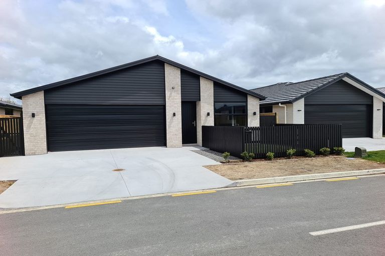 Photo of property in 11 Hinaki Street, Poike, Tauranga, 3112