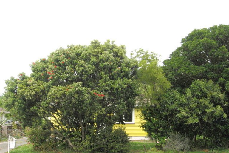 Photo of property in 38 Ranfurly Street, Kaiti, Gisborne, 4010