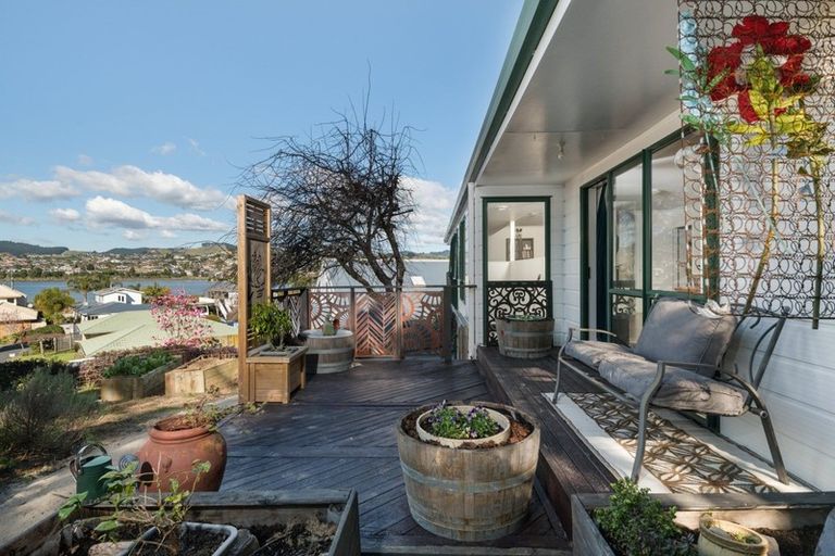 Photo of property in 10 Egret Avenue, Maungatapu, Tauranga, 3112