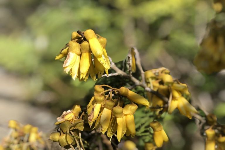 Photo of property in 120b Golf Harbour Drive, Maunu, Whangarei, 0179